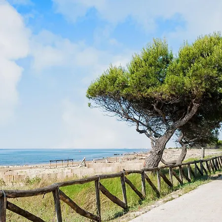 Cozy Flat In A With Garden شقة