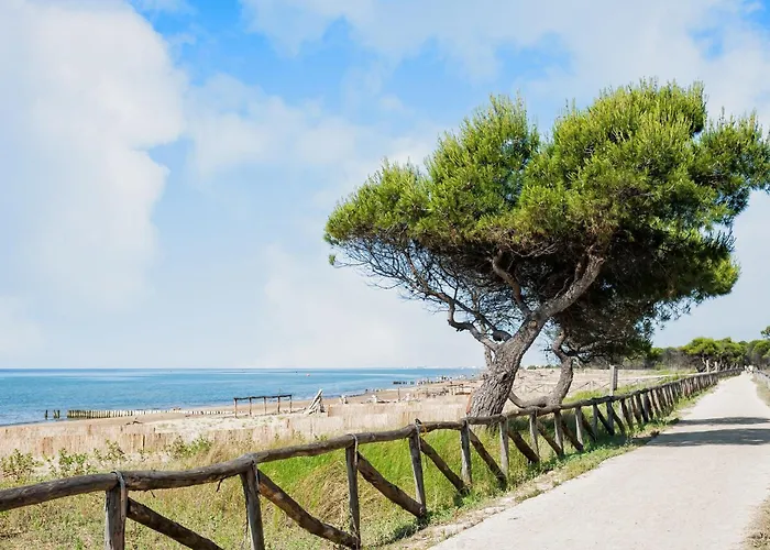 Cozy Flat In A With Garden Apartmán